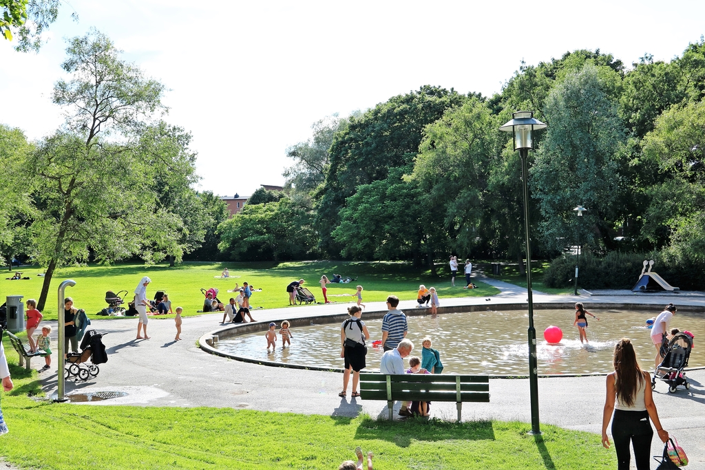 Svandammsparken sommartid