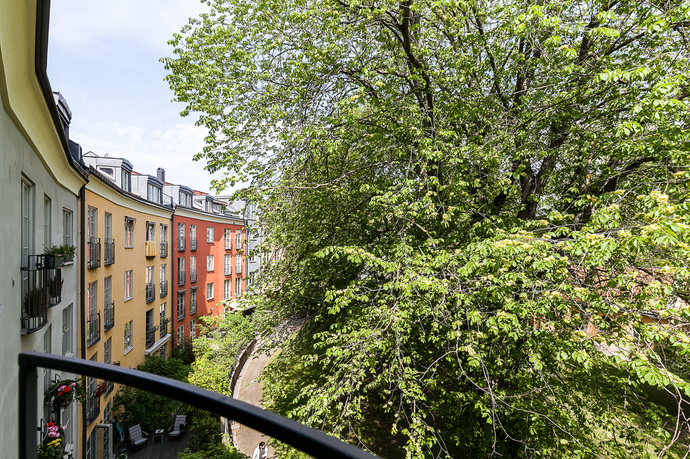 Lummig och grönskande utsikt