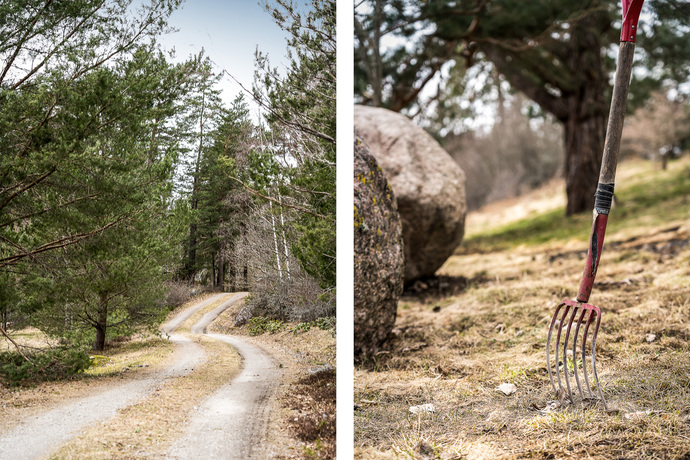 Sköna rogivande omgivningar