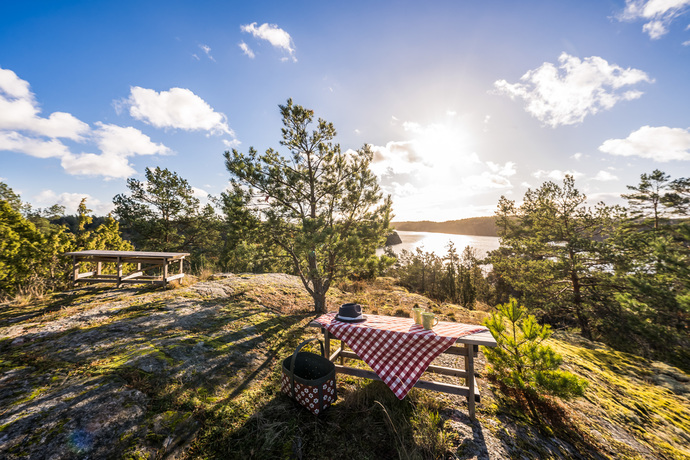 Dukat för picnic